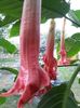 20150728_184655 - Copie