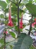 20150728_184624
