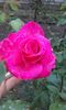 20150927_190214