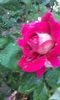 20150927_190231 - Copy
