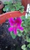 20150927_190611