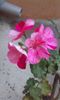 20150927_190530