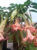 20150925_182101