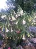 20150925_182129