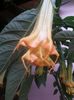 20150925_182220