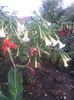 20150925_182318