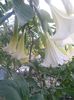 20150925_182436