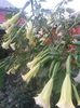 20150925_182452