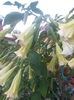 20150925_182500