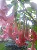 20150925_182542