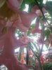 20150925_182559