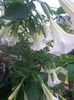 20150926_091052