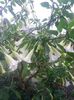 20150926_091058