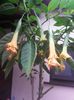 20150926_091143
