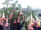20150927_184634