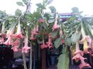 20150927_184637