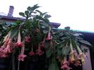 20150927_184645
