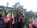 20150927_184646