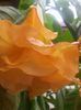 20150928_131537