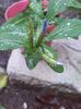 IMG_20150928_174421