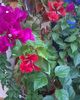 WP_20150927_023mod