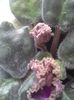 20150928_122248