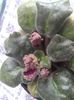 20150928_122257