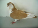 Picture 005