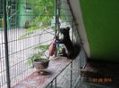 DSC03934