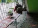 DSC03939