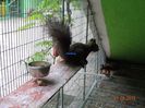 DSC03940