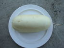 Cucumis sativus 'White Wonder'