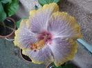 P1240344