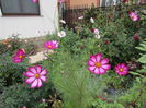27 septembrie