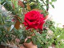 IMG_20150929_105505