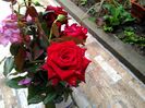 IMG_20150929_110122