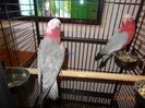 DSC03960