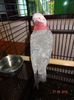 DSC03962