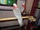 DSC03965