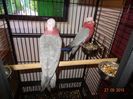 DSC03967