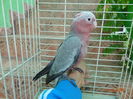 DSC08223