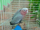 DSC08230