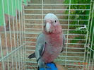 DSC08239