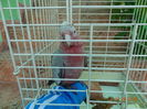 DSC08244
