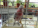 DSC08259