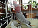 DSC08267