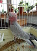 DSC08275