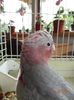 DSC08280