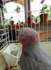DSC08283