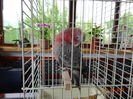 DSC08310